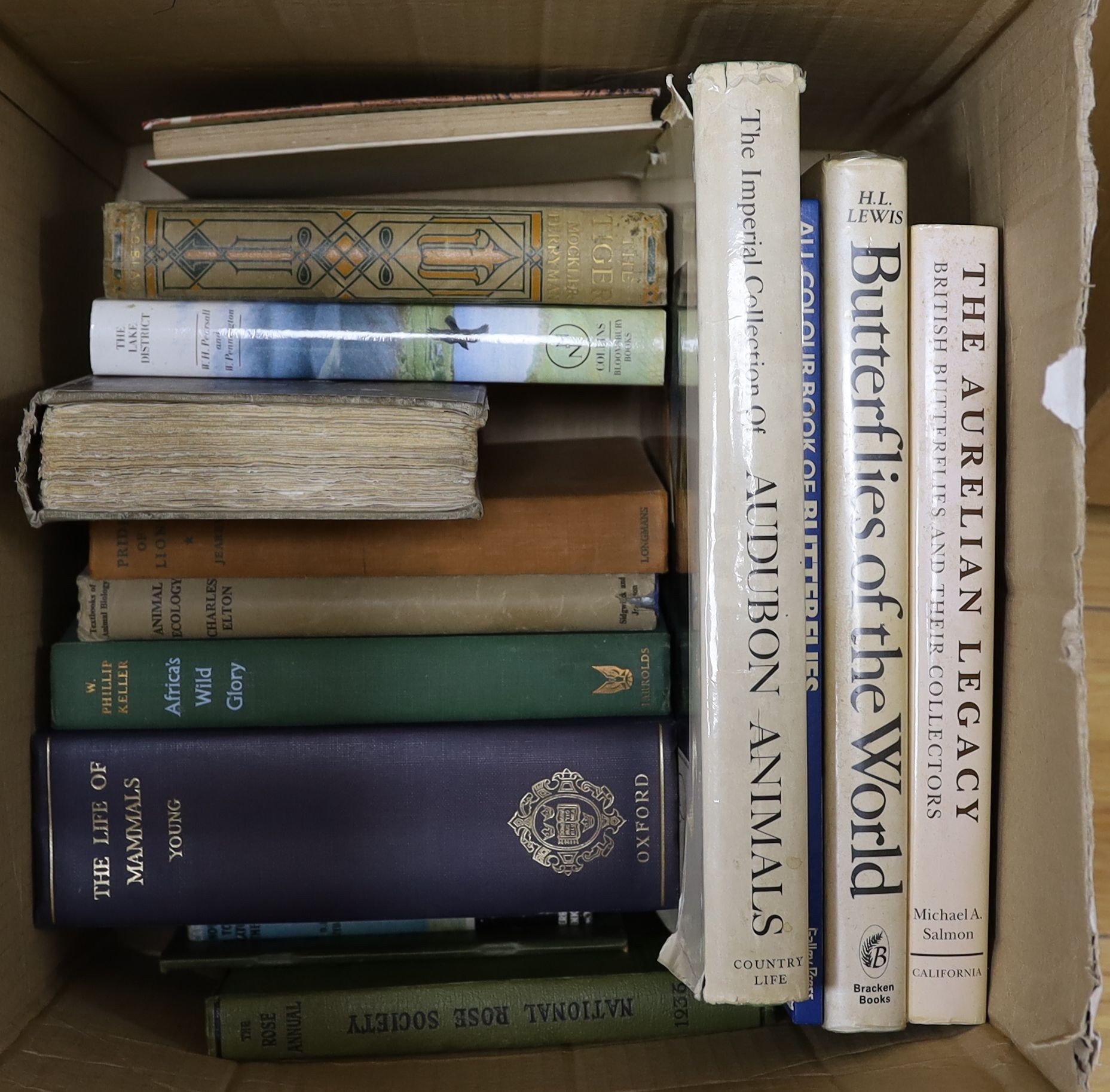 A large quantity of mixed books